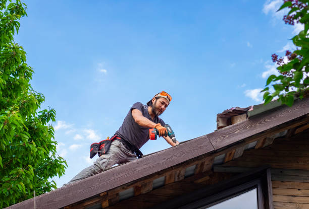 Best Storm Damage Roof Repair  in Talpa, NM